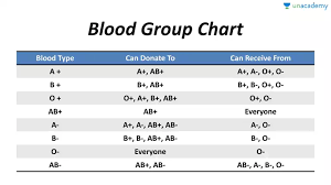 Blood Group Chart In Hindi