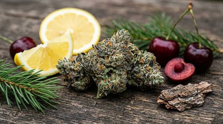 Lemon Cherry Swirl Cali strain next to fresh lemons and cherries