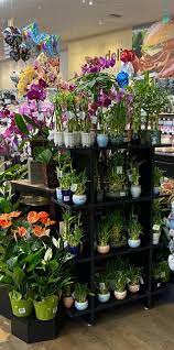 It was founded in yucaipa, california, on august 17, 1936. All Of Our Floral Departments Have Stater Bros Markets Facebook