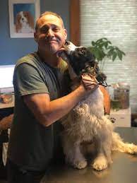 It is the process of inserting needle at the specific points in the body that carry the stimuli information to the central nervous system. Veterinarian Spotlight Better Lives Animal Hospital Chronogrammies Hudson Valley Chronogram Magazine