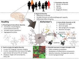 However, it does not mean that dementia is inevitable for you. Unravelling The Multi Level Diversity Of Microglia Heterogeneity Of Download Scientific Diagram