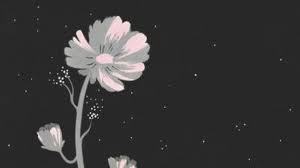Light Filters In Poems By Caroline Kaufman That S Normal