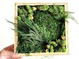 Diy Moss Wall Art Kit Make Your Own Moss Art Wood Moss Art Etsy In 2021 Moss Wall Art Moss Art Moss Wall