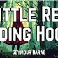 Little Red Riding Hood