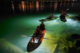 Maybe you would like to learn more about one of these? St Pete Beach Led Illuminated Night Tours On Glass Bottom Kayak 2021 St Petersburg