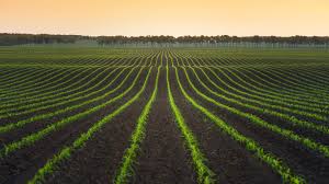 Fields are returned from the schema using the fields method. Rows Crops Fields Food Farm 302778875 1 Singularity Hub