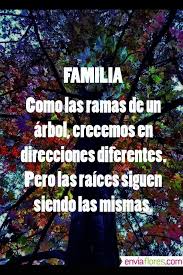 Pin De Evelin Rodriguez En Quotes Frases Familiares Frases Familia Frases