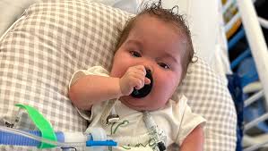 Fundraiser for Kaycee Hartman by Tiffany Dean : Kingston's Journey: 622  Days in NICU