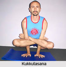 Resultado de imagem para KUKKUTÃ‚SANA