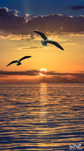 خلفيات موبايل جديدة 2019 خلفيات موبايل 3dlat Net 04 17 Ddca Nature Pictures Sunset Photography Beautiful Landscapes