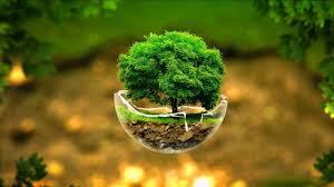 Find & download free graphic resources for plantation. Plantation Wallpapers Wallpaper Cave