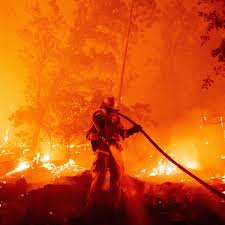 Severe trial or ordeal he had proved himself. California Fires Burn Record 2m Acres California The Guardian