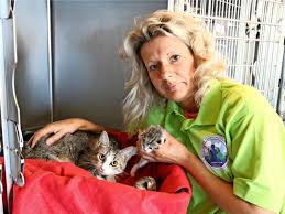 Die meisten katzen lieben es beim freigang in der natur herumzutollen, durchs gras zu streifen, anderen artgenossen zu begegnen und ihre ernährung aus der dose um ein paar selbst gefangene mäuse zu ergänzen. Fast 40 Katzen Aus Vermullten Wohnungen In Rostock Gerettet