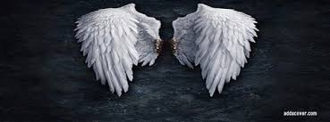 Black And White Angel Wings Wallpaper Facebook Cover Wings Wallpaper White Angel Wings Angel Wallpaper