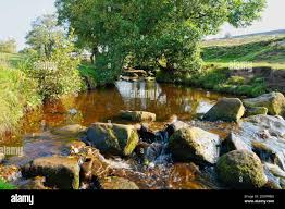 Einen Stream über das gritstone Felsen von einem kleinen Wasserfall von  oben gesehen fließt, Kinder Scout, Derbyshire, Peak District, England,  Großbritannien Stockfotografie