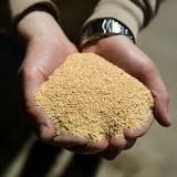 Soybeans as Feed - Missouri Soybeans