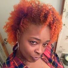 How to manage a large harvest of cucumbers from 38 plants in a raised bed?