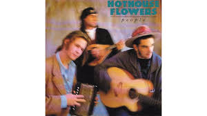 Wet plants are prone to mold. Hothouse Flowers If You Go Youtube