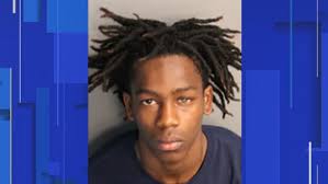 Teen accused of shooting 9-year-old Apopka girl