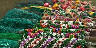 Вербное воскресенье — православный праздник, посвященный появлению иисуса христа в иерусалиме. Prazdnik Verbnoe Voskresene V Katolicheskom Kostele