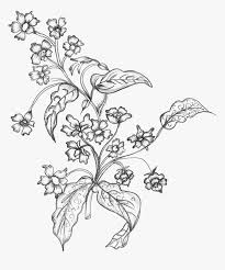 Black and white engraved ink art. Black White Sketchy Flowers Free Png Flower Line Art Transparent Background Png Download Transparent Png Image Pngitem