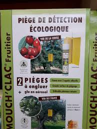 La mouche passe l'hiver sous forme de pupe dans les premiers centimètres de terre à proximité de l'olivier. Traiter Sans Produit Chimique Le Jardin D Heloise
