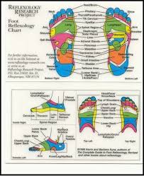 Ha There S A Spot In Your Foot That Can Make You Pee Look For The Word Bladder In The Chart Ref Reflexology Foot Chart Foot Reflexology Reflexology Chart