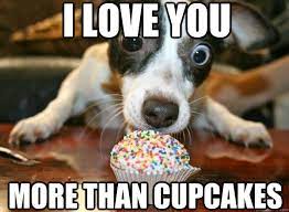 As a matter of fact, i am no experience counselor, which will show you the several ways through which you can express your love to your crush or partner. 70 Funny I Love You Meme Sayingimages Com
