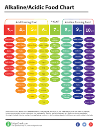 19 Studious Alkalising Food Chart