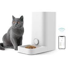 Mix Cat Breed In 2020 Automatic Cat Feeder Pet Feeder Cat Feeder