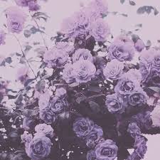 Multiple sizes available for all screen sizes. Flower Pastel Light Purple Aesthetic Novocom Top