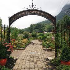 Come by to see these magnificent suns which.were created by the lake lure artists. The Lake Lure Flowering Bridge In North Carolina Finegardening