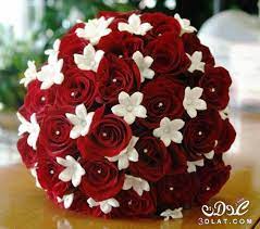 10 صور ورد أبيض وأحمر أحلي باقات ورود روعة. Ø§Ù„ Ù…Ø­Ø¨Ù‰ Ø§Ù„ÙˆØ±ÙˆØ¯ Ø¨ÙˆÙƒÙŠÙ‡ ÙˆØ±Ø¯ Ø§Ø­Ù…Ø± ÙˆØ§Ø¨ÙŠØ¶ Ø·Ø¨ÙŠØ¹Ù‰ Ø§Ø²Ø§ÙŠ