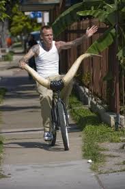 Literally Grabbing The Bull By The Horns Martinez Who Also Specializes In Low Rider Bicycles Has Sold About A Half Dozen Of The Lon Bicycle Bike Lowriders