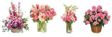 Schedule the bridal flower in burlington, vermont (vt) for your event. The 7 Best Options For Flower Delivery In Burlington Vermont 2021