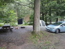 Modern sites, some with elec. Campsite 15 Picture Of Worlds End State Park Forksville Tripadvisor