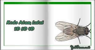 By admin posted on july 27, 2021 july 27, 2021. Kode Alam Lalat 2d 3d 4d Erek Erek Dan Primbon Jawa