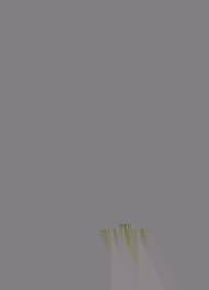 A bibliographical essay on the Scriptores rerum germanicarum