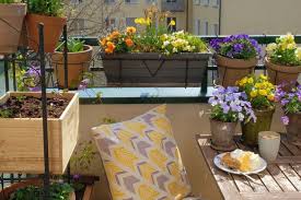 Maybe you would like to learn more about one of these? 10 Balcony Garden Ideas How To Grow Plants On A Small Balcony Apartment Therapy