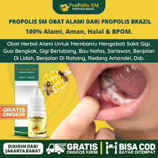Check spelling or type a new query. Obat Sakit Gigi Alami Yang Aman Terbukti Obat Herbal Alami 100 Berkhasiat Propolis Sm Brazil Asli Shopee Indonesia