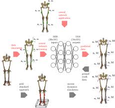 Learning outcomes and the implications for various aspects of university education in general. Frontiers Estimation Of Gait Mechanics Based On Simulated And Measured Imu Data Using An Artificial Neural Network Bioengineering And Biotechnology