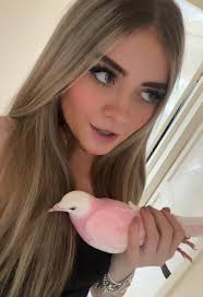 Stellathe Pink Pigeon