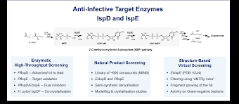 Türkiye ve avrupa ligleri maç özetleri. Drug Design And Optimisation Research Helmholtz Hips