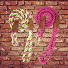 Arkadaslarini Yakinlarinda Tutmak Isteyenler Icin Onedrope Pembik Yesil Ve Pembik Tasma Ipleri For The Ones Who Want T Rope Leash Doggie Style Pet Collars