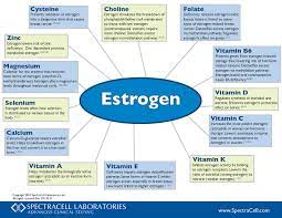 Nutrient Correlation Wheel On Estrogen
