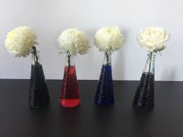 We did not find results for: Mini S Science Corner Flower Food Dye Experiment Mini Nanny Agency