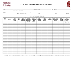 Having A Record Of How The Cattle Are Performing Is Also Very Important So That If They Were Needed To Be Sold The Cattle Ranching Cattle Farming Beef Cattle