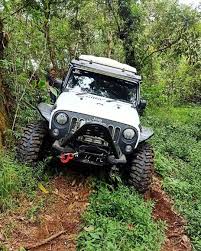 Dikawasan tirto gumarang juga terdapat kebun strobery dan tentu kamu bisa metik sendiri dengan background gunung lawu yang aduhai. Tirto Gumarang Cemoro Sewu Magetan Trip Jalan Jalan