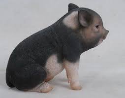 Sitting Baby Pig Statue Baby Pigs Cute Baby Animals Baby Animals