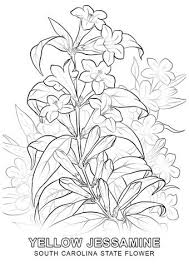 South Carolina State Flower Coloring Page Flower Coloring Pages Coloring Pages Printable Flower Coloring Pages